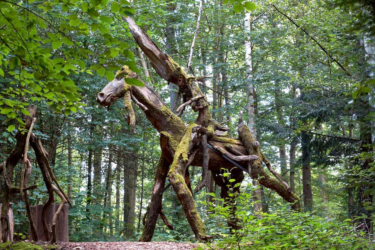 Skulpturenpfad WaldMenschen, Freiburg, thomas rees 30